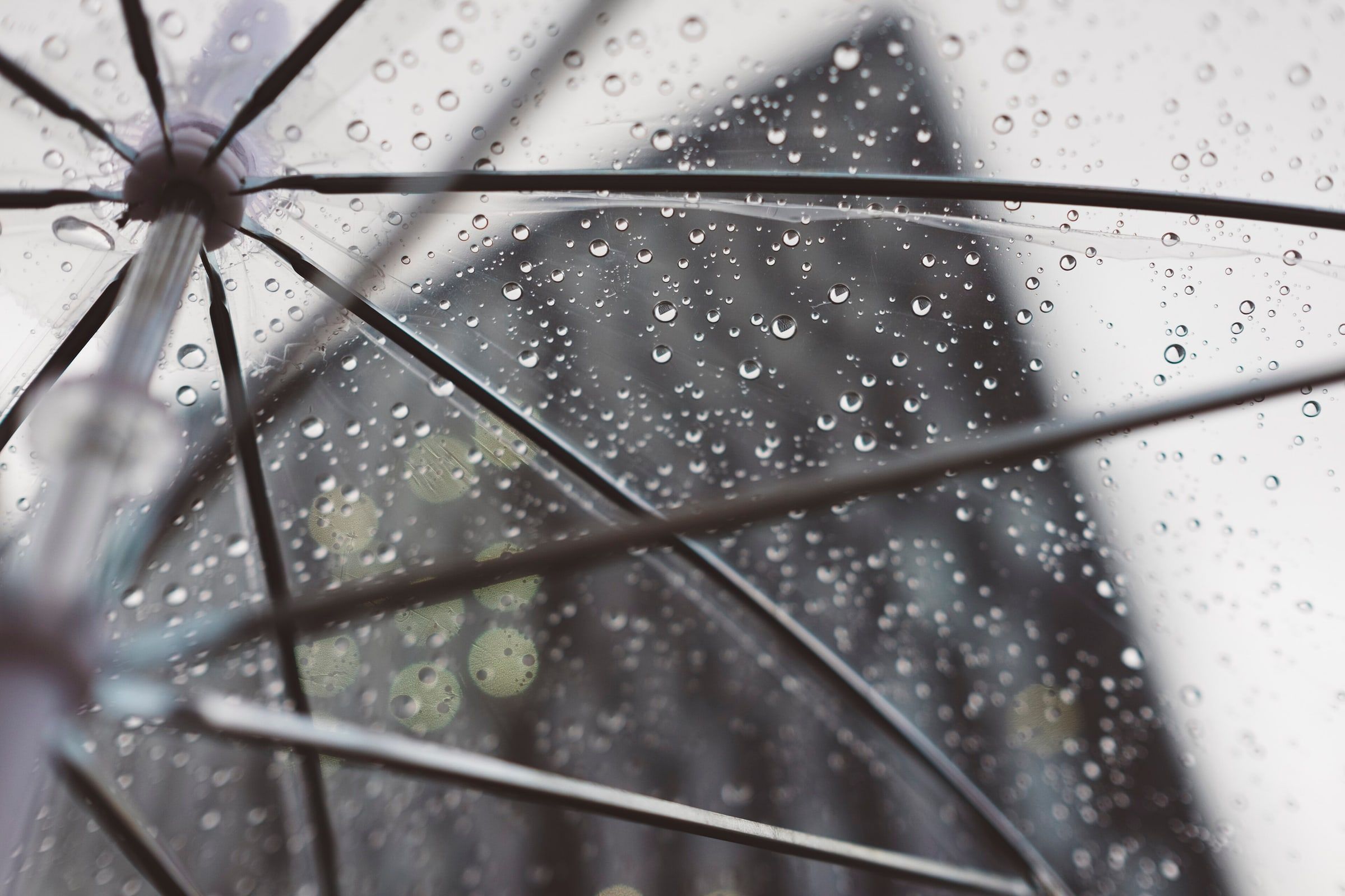 Paraguas transparente cubierto de gotas de lluvia visto desde debajo, con las varillas metálicas a la vista