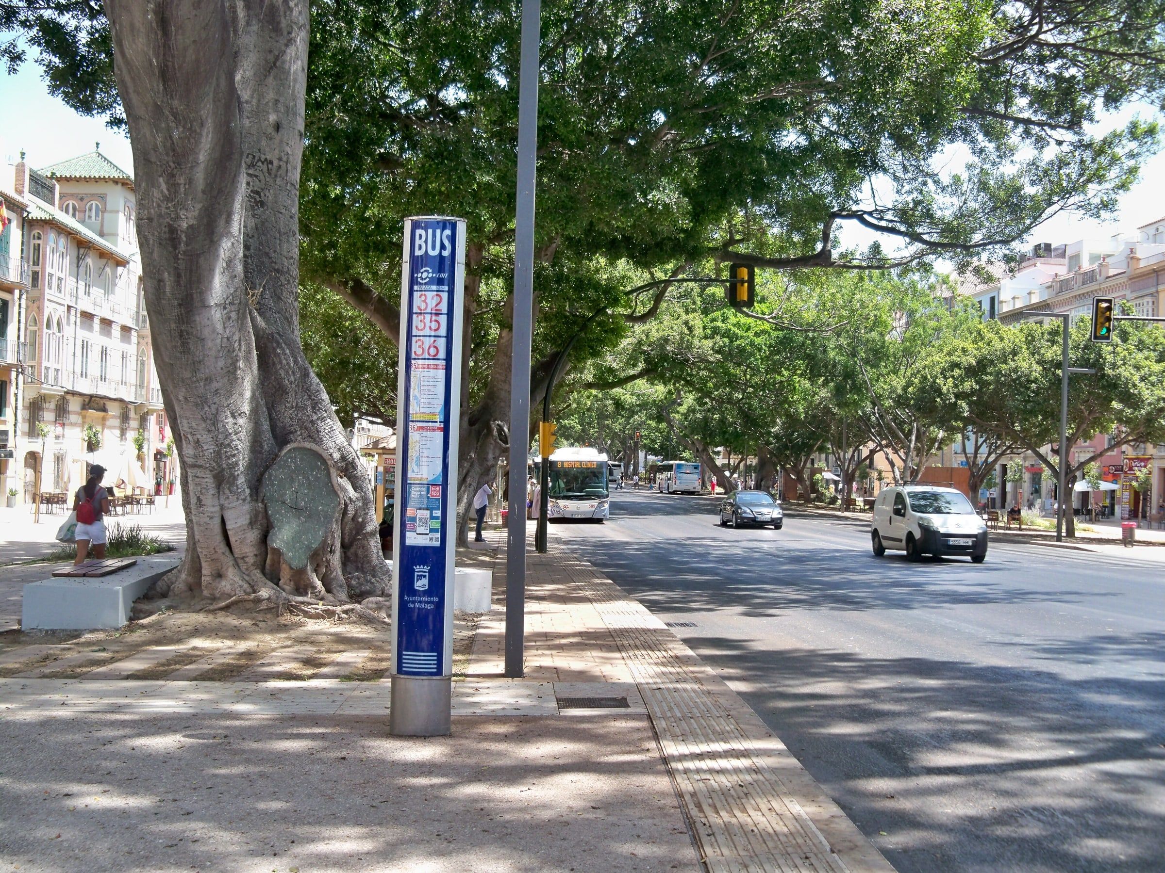 Poste azul de una parada de autobús en una avenida arbolada de Málaga, con el autobús urbano acercándose al fondo de la calle